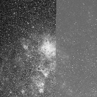 C103 (Tarantula Nebula) — sky survey preview (NASA SkyView)