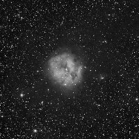 C19 (Cocoon Nebula) — sky survey preview (NASA SkyView)