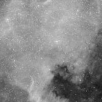 C20 (North America Nebula) — sky survey preview (NASA SkyView)