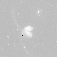 C60 (Antennae Galaxies) — sky survey preview (NASA SkyView)