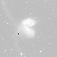 C61 (Antennae Galaxies) — sky survey preview (NASA SkyView)