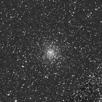 C81 — sky survey preview (NASA SkyView)
