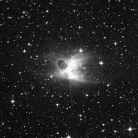 IC 2220 (Toby Jug Nebula) — sky survey preview (NASA SkyView)