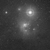 IC 348 (omi Per Cloud) — sky survey preview (NASA SkyView)