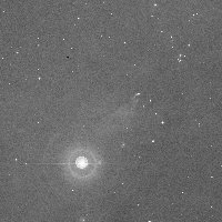IC 430 — sky survey preview (NASA SkyView)