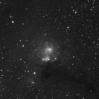 IC 446 — sky survey preview (NASA SkyView)