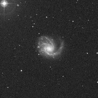 M99 (St. Catherine's Wheel) — sky survey preview (NASA SkyView)