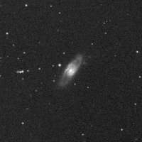 NGC 1134 — sky survey preview (NASA SkyView)