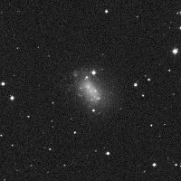 NGC 1156 — sky survey preview (NASA SkyView)