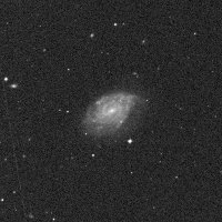 NGC 1255 — sky survey preview (NASA SkyView)