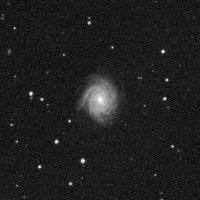 NGC 1288 — sky survey preview (NASA SkyView)