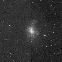 NGC 1313 — sky survey preview (NASA SkyView)