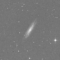 NGC 1337 — sky survey preview (NASA SkyView)