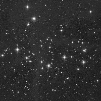 NGC 1342 — sky survey preview (NASA SkyView)