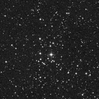 NGC 1348 — sky survey preview (NASA SkyView)