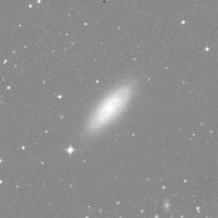 NGC 1353 — sky survey preview (NASA SkyView)
