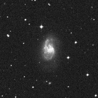 NGC 1385 — sky survey preview (NASA SkyView)
