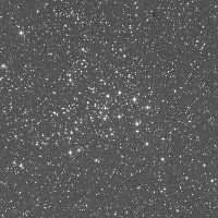 NGC 1528 — sky survey preview (NASA SkyView)