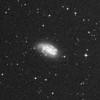 NGC 1559 — sky survey preview (NASA SkyView)