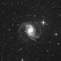 NGC 1566 — sky survey preview (NASA SkyView)