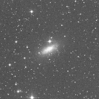 NGC 1569 — sky survey preview (NASA SkyView)