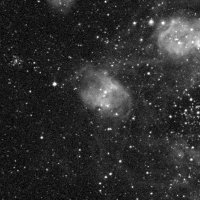NGC 1769 — sky survey preview (NASA SkyView)