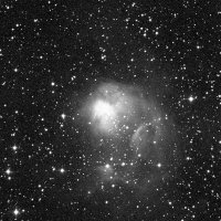 NGC 1931 — sky survey preview (NASA SkyView)