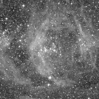 NGC 1955 — sky survey preview (NASA SkyView)