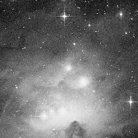 NGC 1975 — sky survey preview (NASA SkyView)