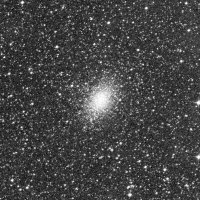 NGC 1978 — sky survey preview (NASA SkyView)