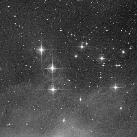 NGC 1981 (Upper Sword) — sky survey preview (NASA SkyView)