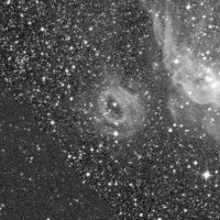 NGC 2020 — sky survey preview (NASA SkyView)