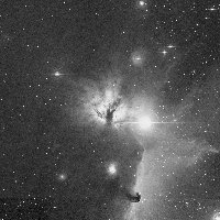 NGC 2024 — sky survey preview (NASA SkyView)