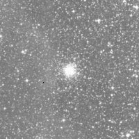 NGC 2041 — sky survey preview (NASA SkyView)