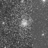 NGC 2065 — sky survey preview (NASA SkyView)