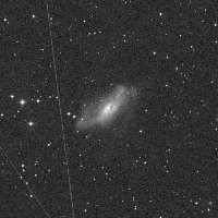 NGC 2146 — sky survey preview (NASA SkyView)