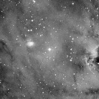 NGC 2175 — sky survey preview (NASA SkyView)
