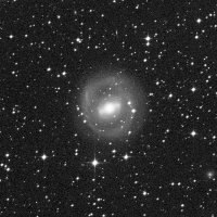 NGC 2217 — sky survey preview (NASA SkyView)