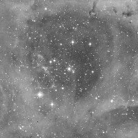 NGC 2239 — sky survey preview (NASA SkyView)