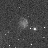 NGC 2276 — sky survey preview (NASA SkyView)