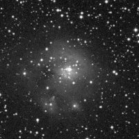 NGC 2282 — sky survey preview (NASA SkyView)