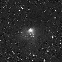 NGC 2316 — sky survey preview (NASA SkyView)