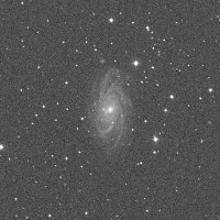 NGC 2336 — sky survey preview (NASA SkyView)