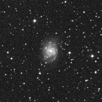 NGC 2339 — sky survey preview (NASA SkyView)
