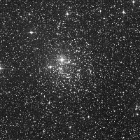NGC 2439 — sky survey preview (NASA SkyView)