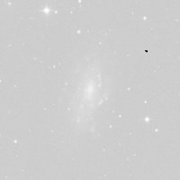 NGC 2541 — sky survey preview (NASA SkyView)