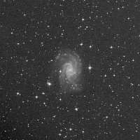 NGC 2835 — sky survey preview (NASA SkyView)