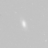 NGC 2903 — sky survey preview (NASA SkyView)