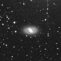 NGC 2983 — sky survey preview (NASA SkyView)