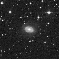 NGC 3081 — sky survey preview (NASA SkyView)